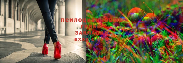 прущие крисы Абаза