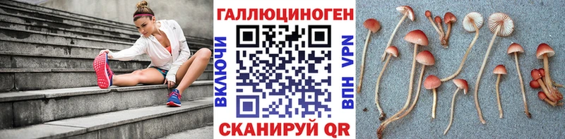 Псилоцибиновые грибы Psilocybine cubensis  hydra ТОР  Зеленогорск 
