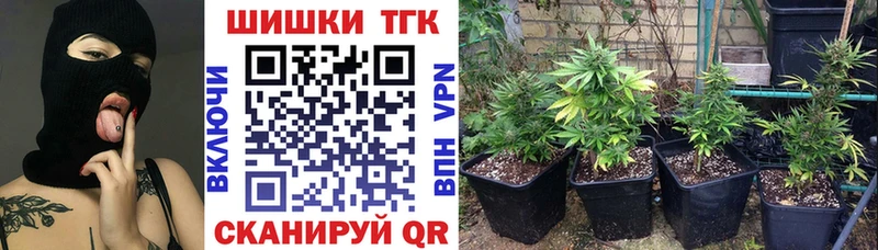 Канабис сатива  мориарти какой сайт  Зеленогорск 